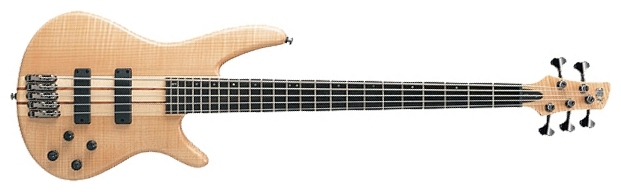 Бас-гитарыIbanez SR1005EFM