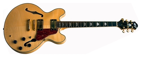 Полуакустическая гитара JET UAS 840