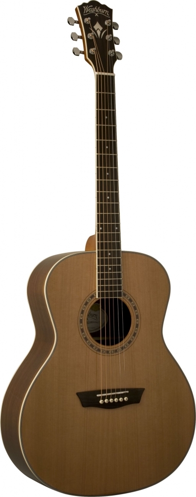 Акустическая гитара Washburn WMJ21S