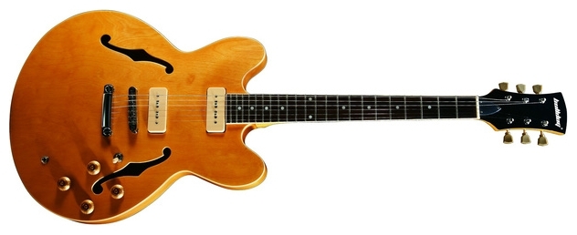 Полуакустическая гитара Bulldog HBS-800