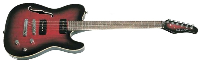 Полуакустическая гитара Caraya E-219