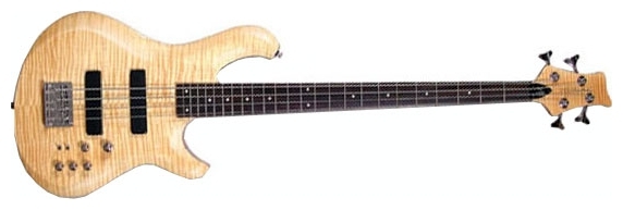 Бас-гитарыClive F&P 300