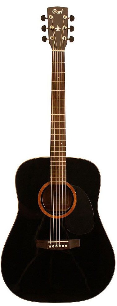 Акустическая гитара Cort Earth 100 BK