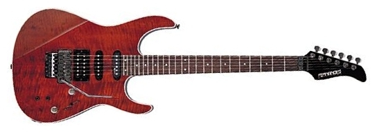 Электрогитара Fernandes Guitars FR-55S