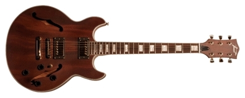 Полуакустическая гитара INVASION JG720