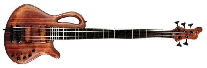 Бас-гитарыMayones Caledonius 5 Custom Spruce