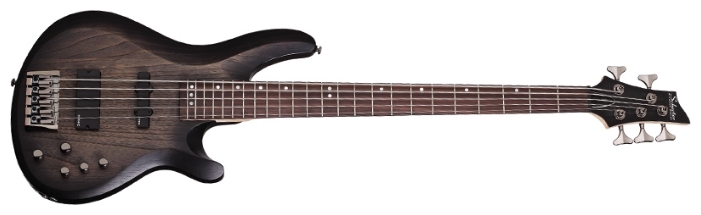 Бас-гитарыSchecter C-5 Custom