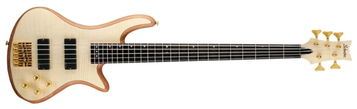 Бас-гитарыSchecter Stiletto Custom-5