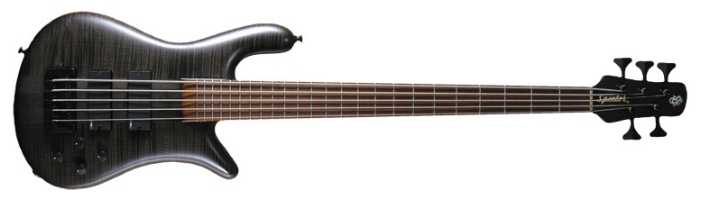 Бас-гитарыSpector Forte-5