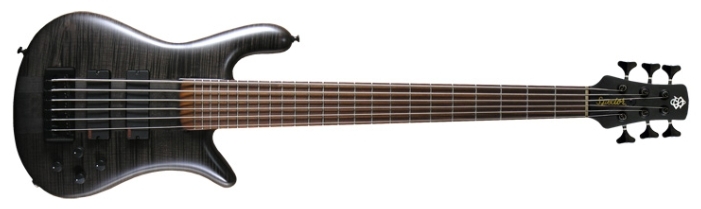 Бас-гитарыSpector Forte-6
