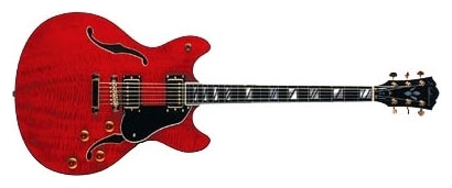 Полуакустическая гитара Washburn HB35